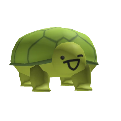 Turtle Shelly 3.0