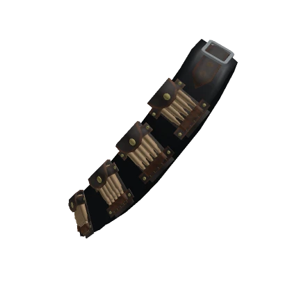 Gun Belt With Magazines