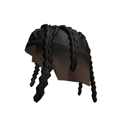 Braided Locs Black