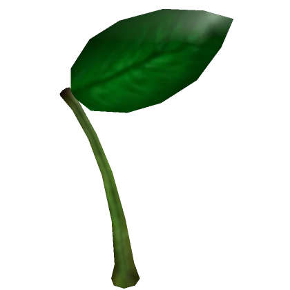 Leaf Stem