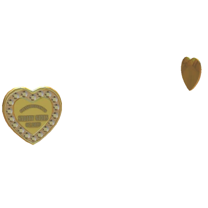 SG| Sadity Gold HeartTag Earrings