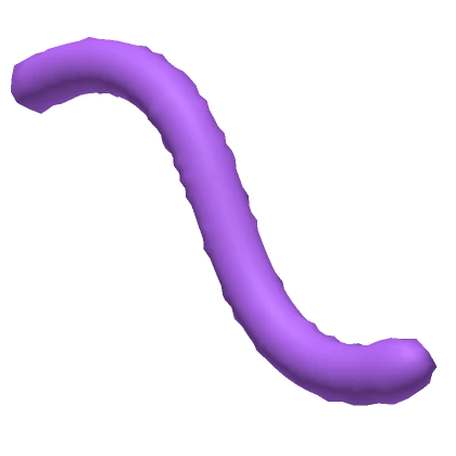 Purple Cat Tail