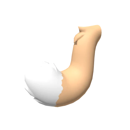 Tan Kemono Cat Tail
