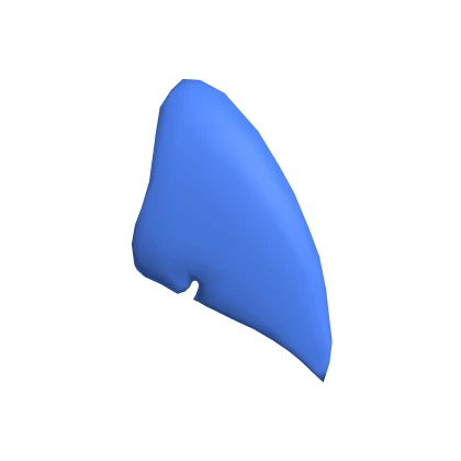 Shark Fin 〈Azure〉