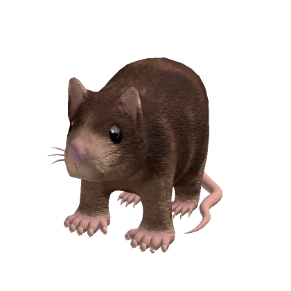 Ratrick Rat Suit