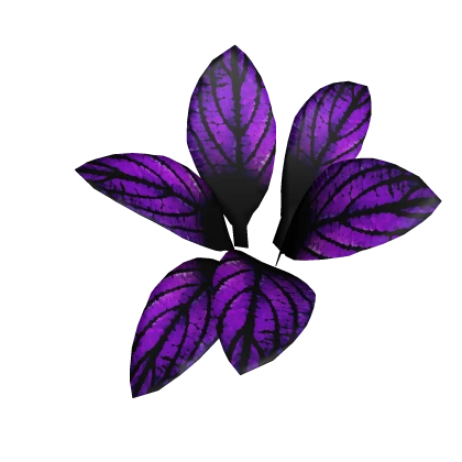 Nightshade Root