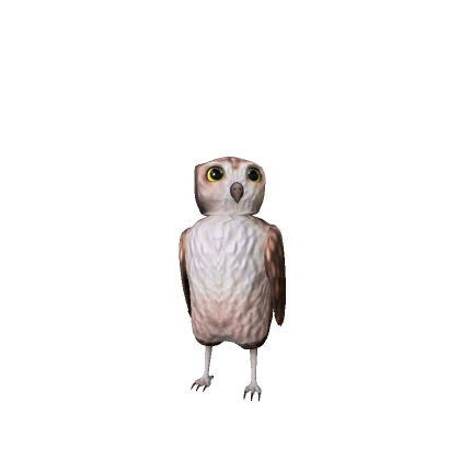 Tiny Mini Owl