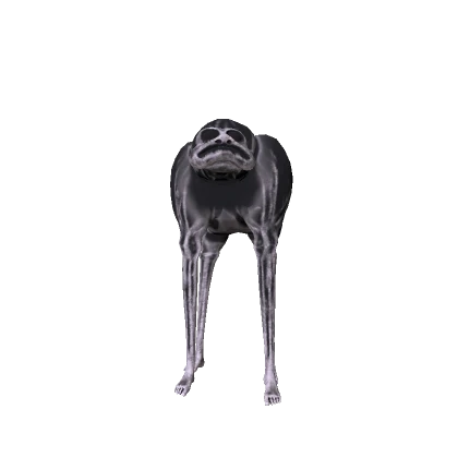 Cursed Dog Creature