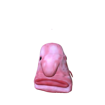Blobfish
