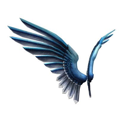 Blue Jay Wings