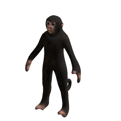 Monkey Suit