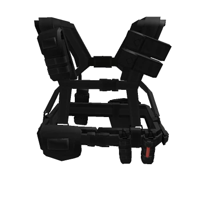 BDO Tactical Webbing