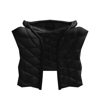 Black Puffer Vest