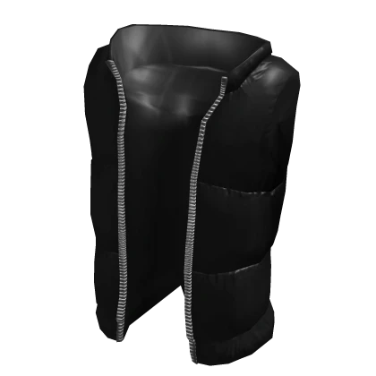 Black Puffer Vest