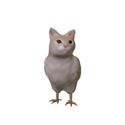 Cute Funny Chicken Cat