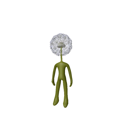 Dandelion