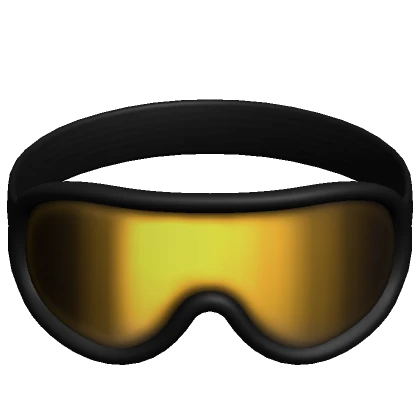 Ski Goggles