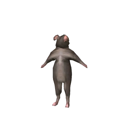 Dancing Rat Meme Bundle