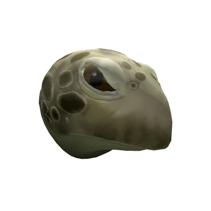Green Turtle Head