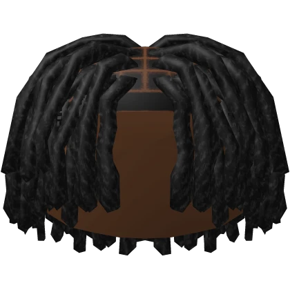 Black 2 Strand Twists