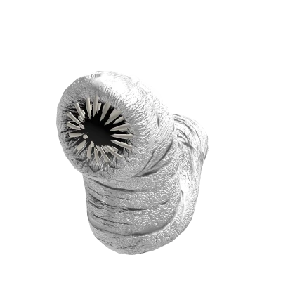 Worm Suit