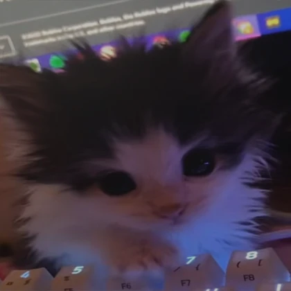 cat keyboard