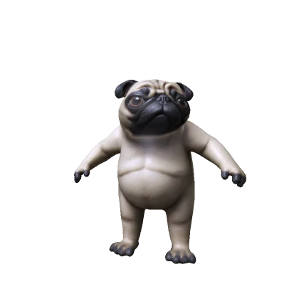 Silly Pug