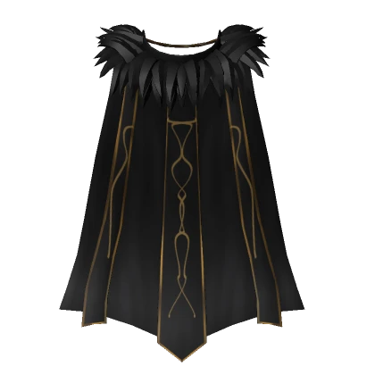 Black and Gold Cape