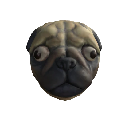 dog's head