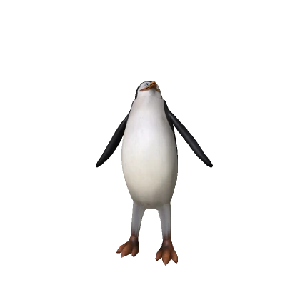 Rico Penguin Bundle