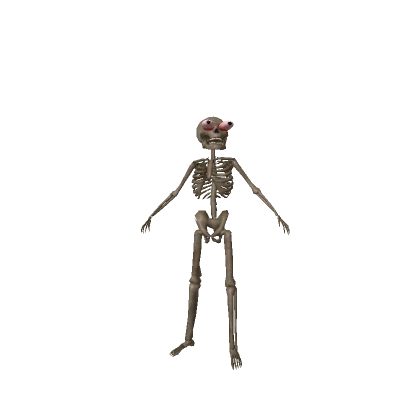 Skeleton Skull Bundle