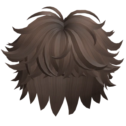 Fluffy Messy Brown Hair