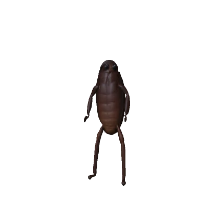 Roach
