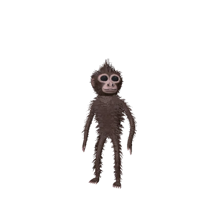 Hairy Baby Monkey