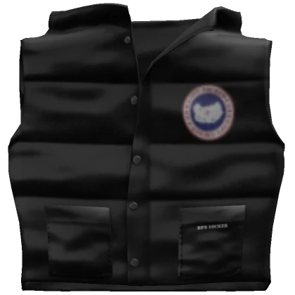 Black Canada Goose Puffer Vest (3.0)