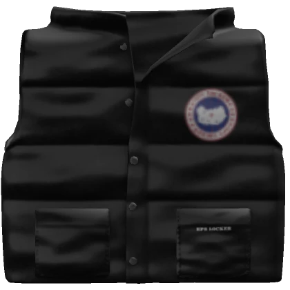 Black Canada Goose Puffer Vest (1.0)