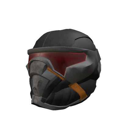 Rogue Renegades Helmet