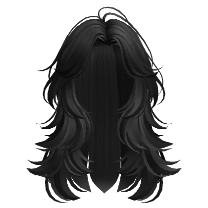 Black Fluffy Layered Hair