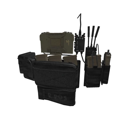 Black LVL119 Pouch Setup TAN PMAGS