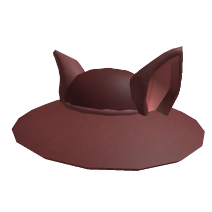 Wide brimmed hat of a cat