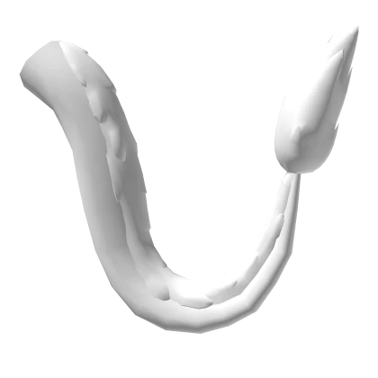 White Eastern Dragon Tail