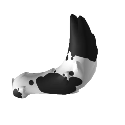 Dalmatian Tail