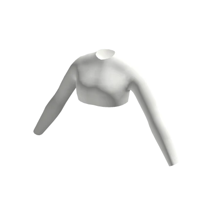 White Crop Top