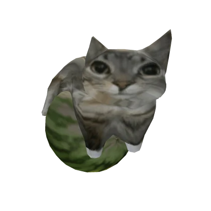 Watermelon Cat
