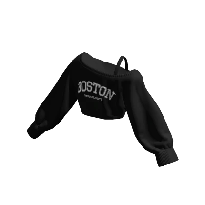 Boston Off Shoulder Oversized Sweater Cropped