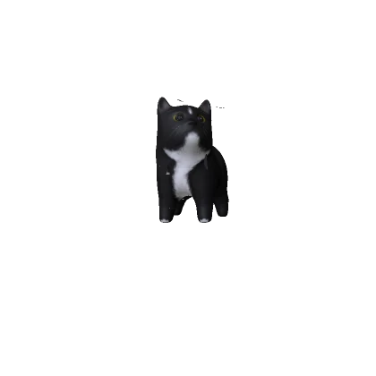 Cute Mini Kitty