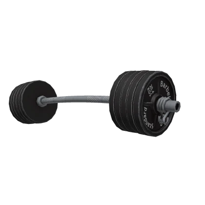 Barbell Weights