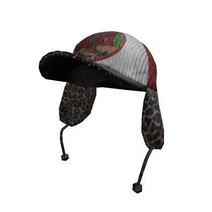 odd trapper hat?