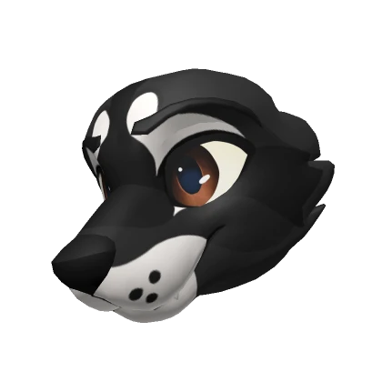 Melanistic Raccoon Head