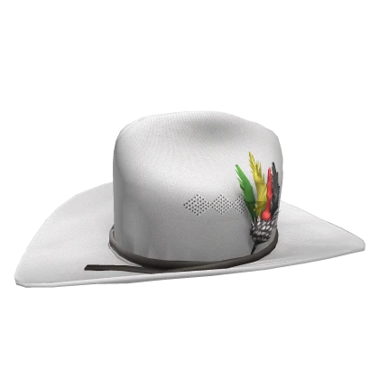 Cowboy Hat Feather